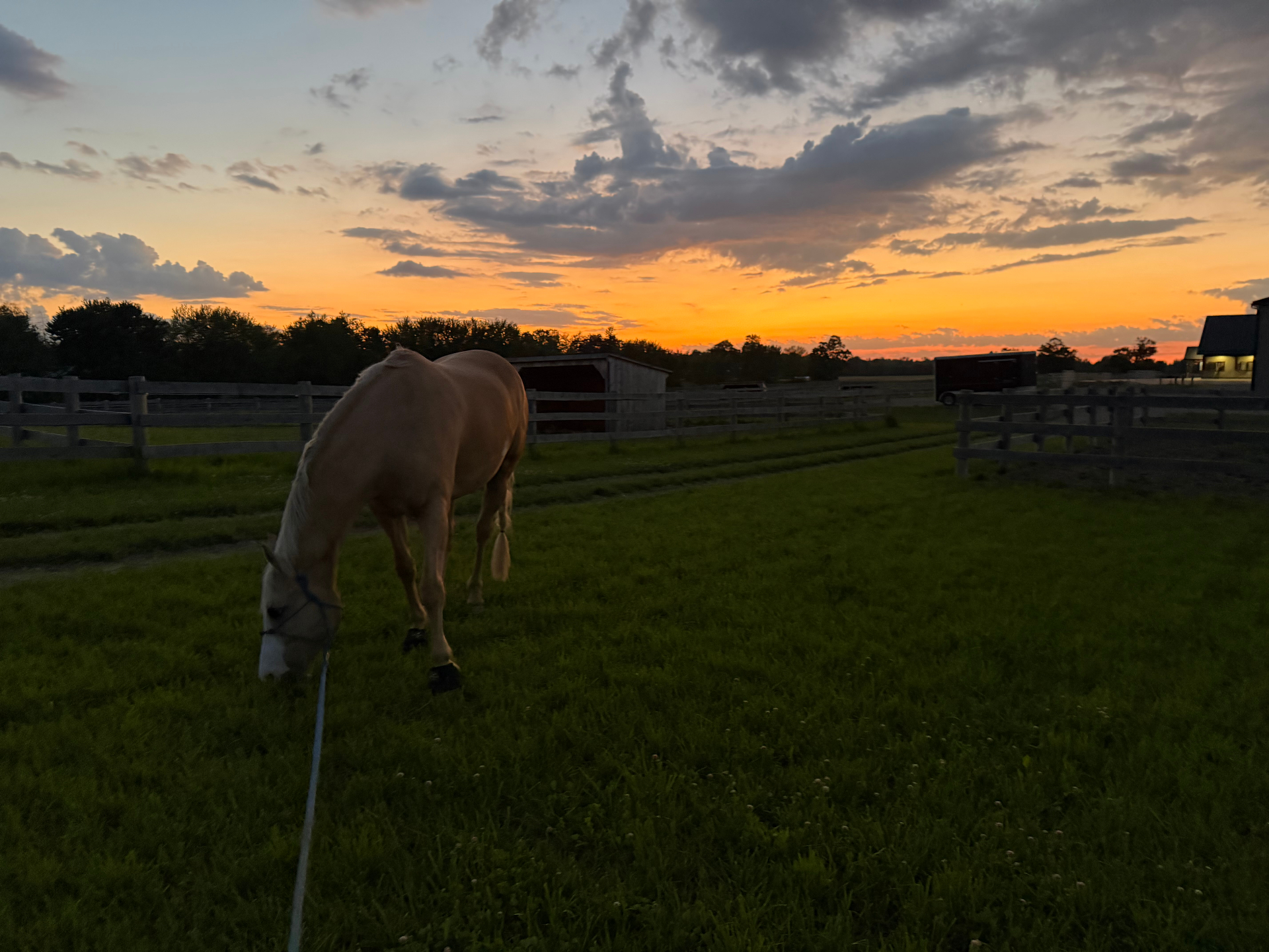 How to audit a feed room in one afternoon — Groundwork Equine