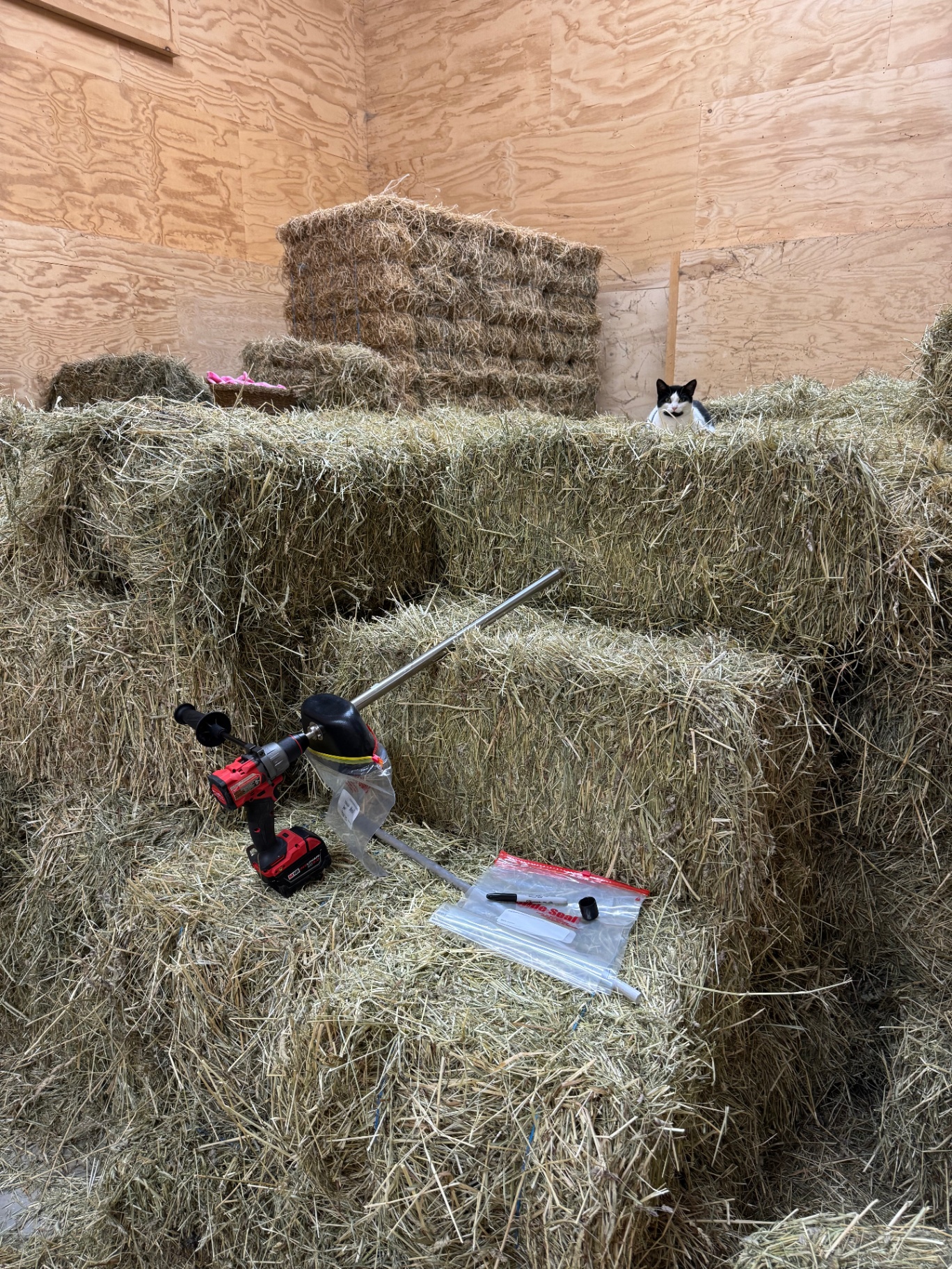 Reading a hay analysis without the overwhelm — Groundwork Equine