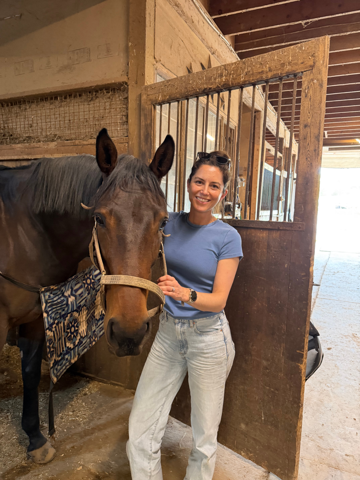 The minerals your horse is most likely missing — Groundwork Equine